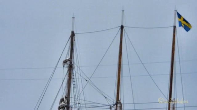 tallship VEGA GAMLEBY SKQG & rivercruiser RHEIN PRINZESSIN HE7632 Emden смотреть онлайн