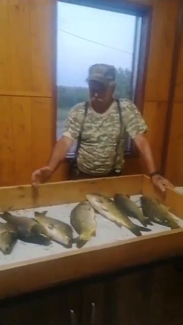 А мы продолжаем делиться уловами наших дорогих гостей.РК «Чайка».Всем НХНЧ! смотреть онлайн