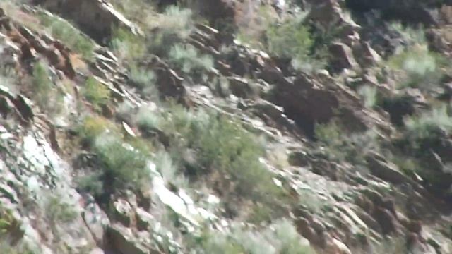 Кабкои Кухро ба навор грифтем дустон мархамат тамошо кунен Кабк Keklik смотреть онлайн