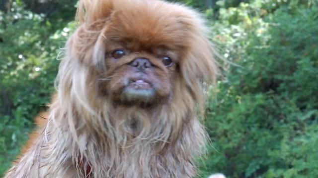 Джессика 2 смотреть онлайн