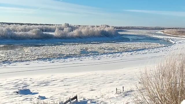 Жуковы// Пора предпринять кардинальные меры// Обзор видео// смотреть онлайн