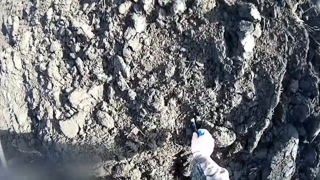 Охота на Зайца 2017-2018!!! Не промахивается тот, кто не стреляет. смотреть онлайн