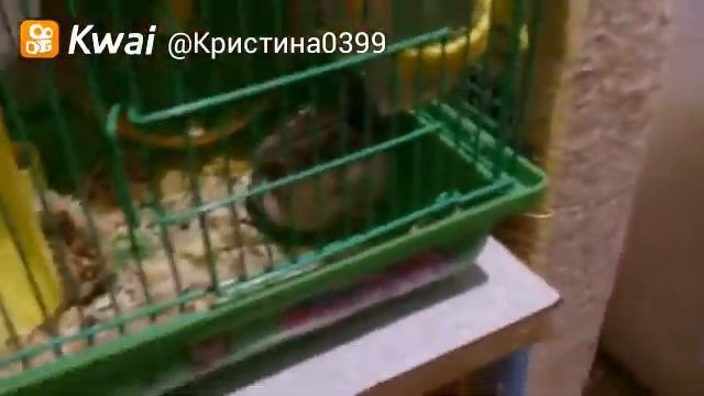 27 октября 2017 г. смотреть онлайн