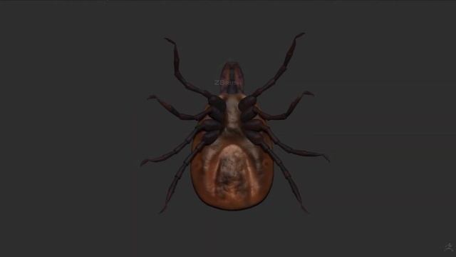 Deer Tick смотреть онлайн