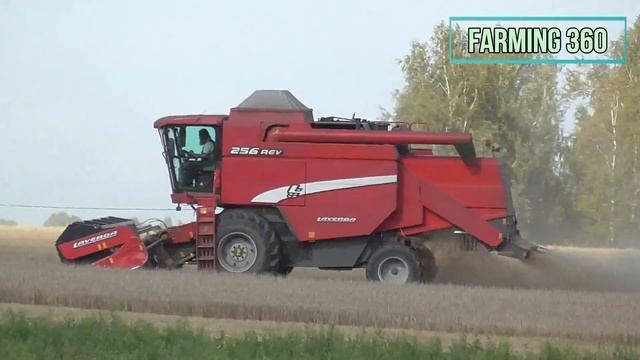 Harvest 2021 | Laverda 256 REV Combine Harvester