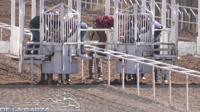 EL CARAMELO VS LA MORENA DE FUEGO 175 VARAS AVALOS RACE TRACK CHIHUAHUA 28 DE ENERO DEL 2018 смотреть онлайн
