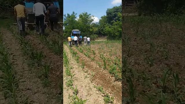Халатала смотреть онлайн