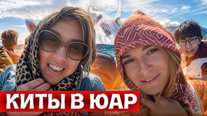 ХЕРМАНУС - Город для Наблюдения за КИТАМИ! Миф или реальность? Лучший отель Radium Hall в Кейптауне