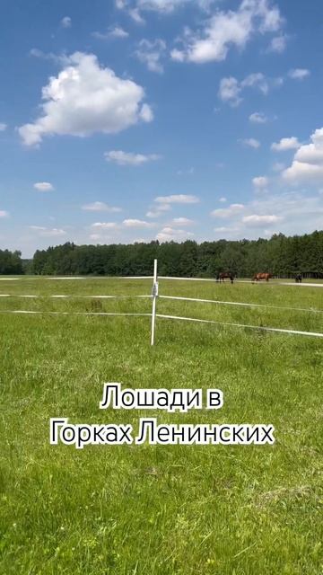 Москва и область