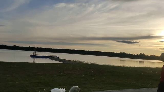 Гусь) смотреть онлайн