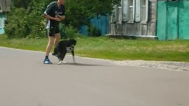 SAM 1685 смотреть онлайн