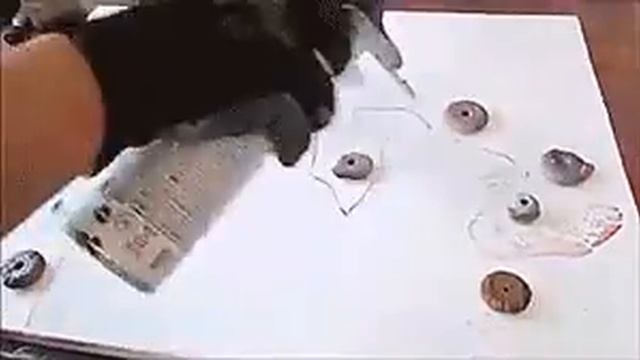 Как рисуют болончиком ! смотреть онлайн
