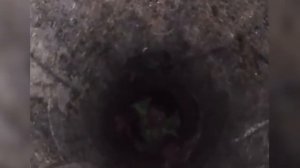 Мужик упал в мусоропровод