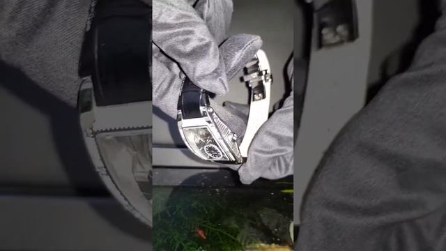 Женские наручные часы Seculus 1667.2.1069L SSst B смотреть онлайн