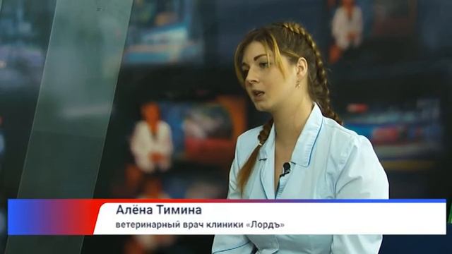 Гость в студии Алёна Тимина смотреть онлайн