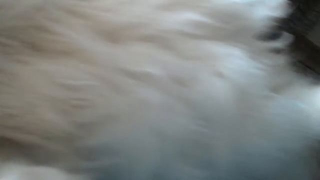 Мур читает мысли смотреть онлайн