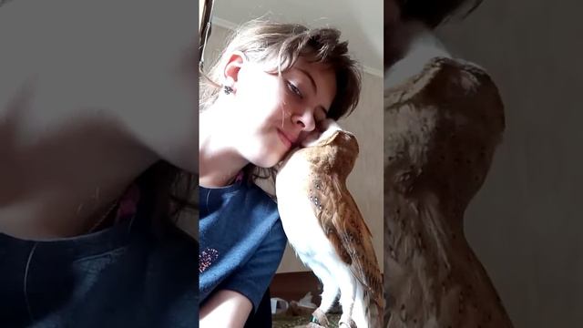 Совиная любовь) смотреть онлайн