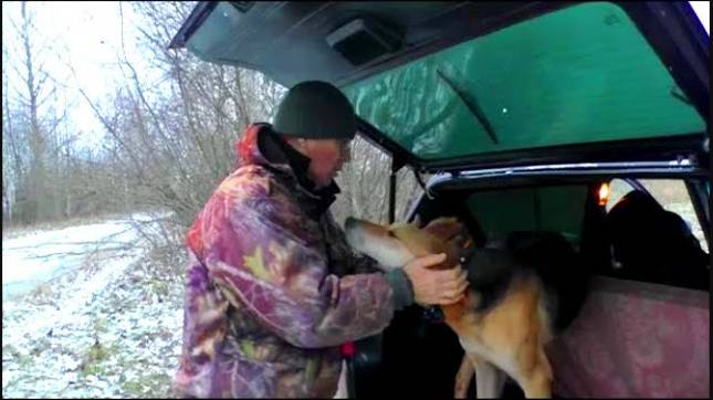 ОХОТА НА ЗАЙЦА ПО ПЁСТРОЙ ТРОПЕ .Русская гончая Аргон вл. Шатров В.А.#охотасгончей#топ#соб#hunting смотреть онлайн