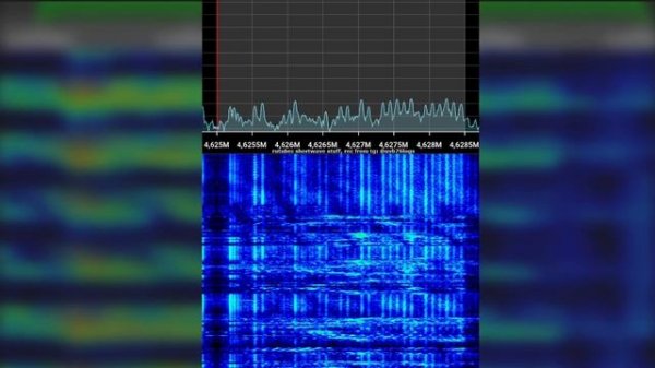 УВБ-76: Сообщение за 29 января 2025