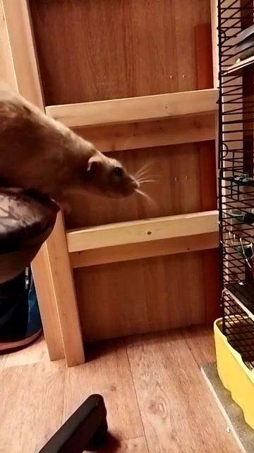 16 декабря 2023 г. смотреть онлайн