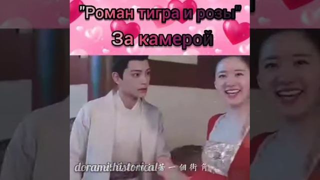 "Роман тигра и розы" смотреть онлайн
