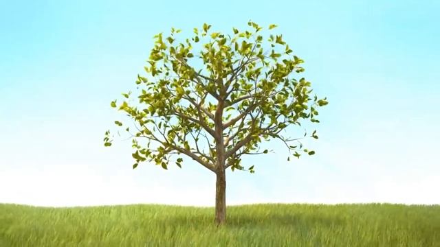 Акция "Лес Победы" 2019 в Коломне смотреть онлайн