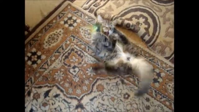 ЧЕТВЕРОНОГИЕ ДРУЗЬЯ