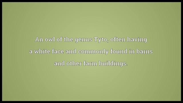 Barn owl Meaning смотреть онлайн