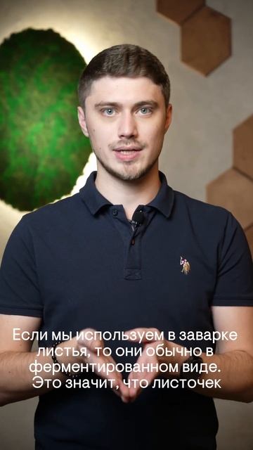 Можно ли заваривать цветы Иван чая? смотреть онлайн