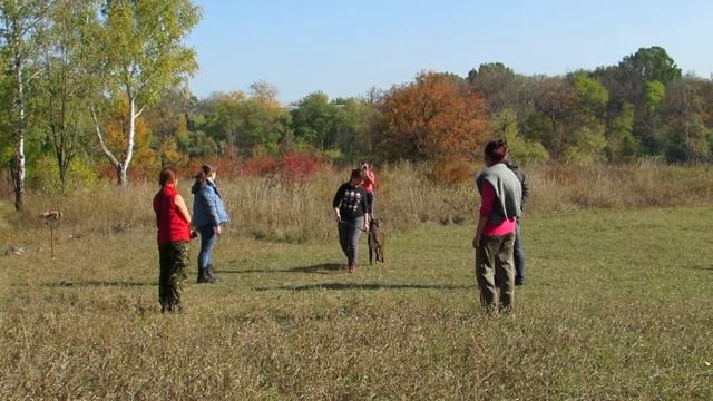 20 смотреть онлайн