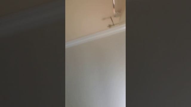 new ninja turtles truck смотреть онлайн