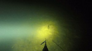 Жуткая ночная подводная охота... Ночная подводная охота для новичка - как охотится под водой ночью