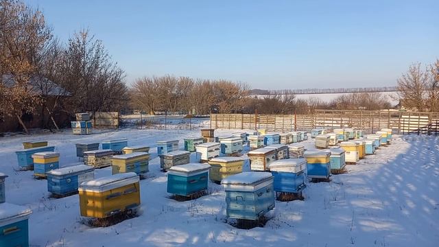 Пасека. Сезон 2021. Подведение итогов. смотреть онлайн