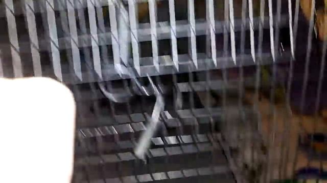 9 июля 2016 г. смотреть онлайн