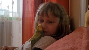 Девочки тоже говорят! Самка волнистого попугая разговаривает