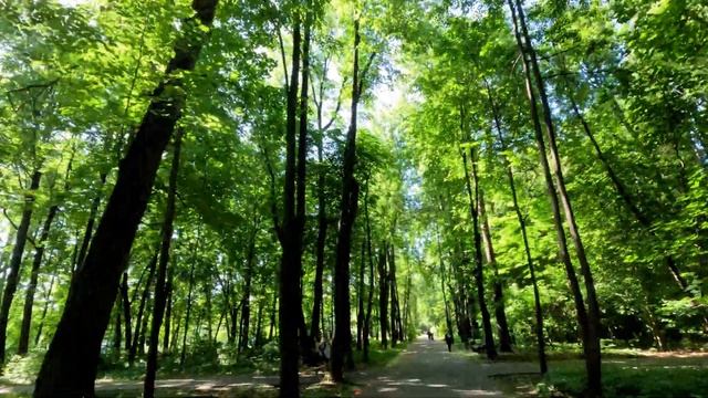5 вёрст (ex parkrun) г. Москва ВДНХ (Парк Останкино 08.06.2024) смотреть онлайн