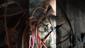 Не работает стартер и бензонасос Ваз 2115. Решено!!!