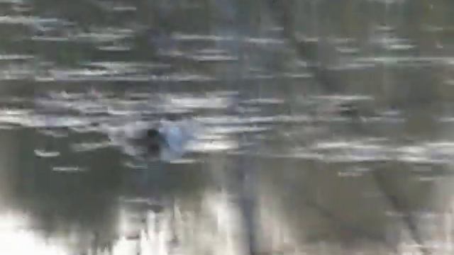 Сезон закрыл смотреть онлайн