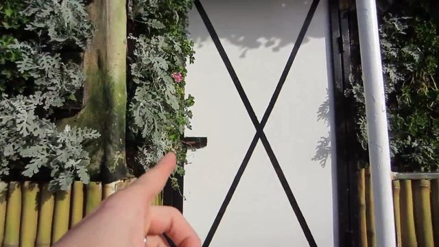 Dubai Miracle Garden 2018 - Worth 45 DHS? (12 USD) | Vlog 238 смотреть онлайн