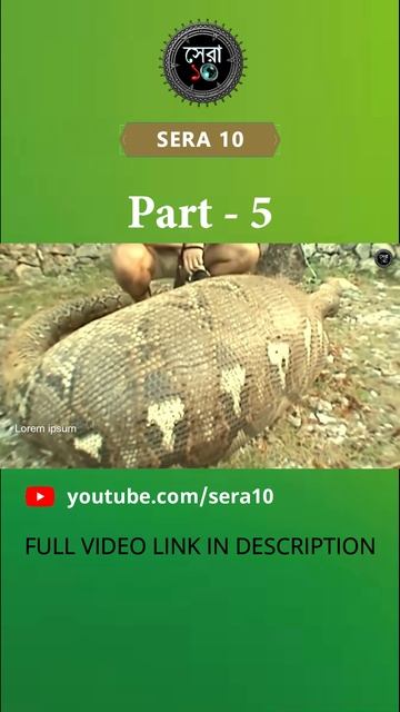 কি হবে যদি অজগর সাপ একটা কুমির গিলে ফেলে | Part 5 #shorts смотреть онлайн