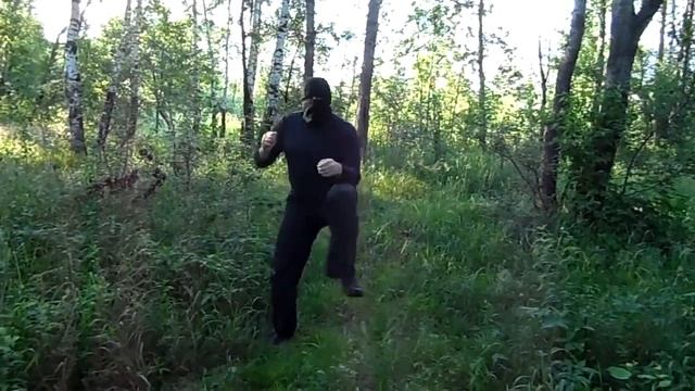 ! Убийственный ниндзя - прямой + колено, удар аиста = 23. 06. 2013. смотреть онлайн