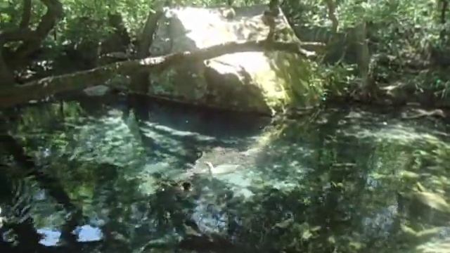 Алупка Воронцовский парк 29 июня 2020 #1 смотреть онлайн