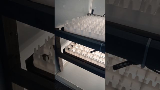 ЕНДИ ХИТОЙДАН ОПКЕЛИШ ШАРТ ЕМАС. Жужалар очирадигон 🐣ускиналар таёрлаберамиз смотреть онлайн