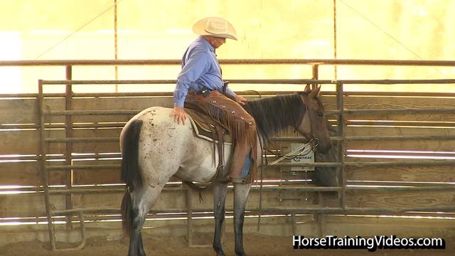 Horse Training For Spook Avoidance - Stops, Turns & Body Control - Foundation Horse Training смотреть онлайн