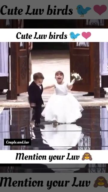 Little love Birds 😘😘😘 смотреть онлайн