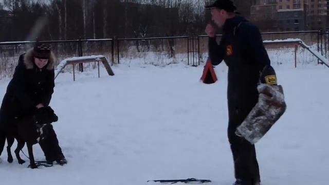 Рокиш и вредный фигурант))))))))) смотреть онлайн