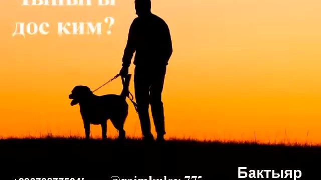 Чыны дос смотреть онлайн