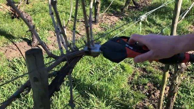 Tijeras ECHO DPS-350 - Testimonio real смотреть онлайн