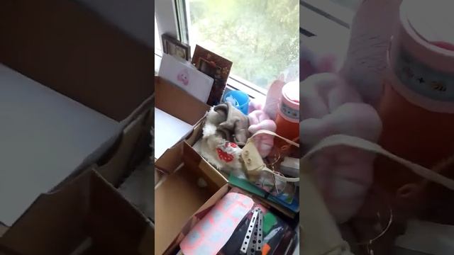 что нужно для ути/лафафан|в первые дни/ смотреть онлайн