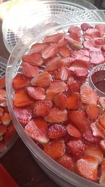 Клубника началась , делаем чипсы смотреть онлайн